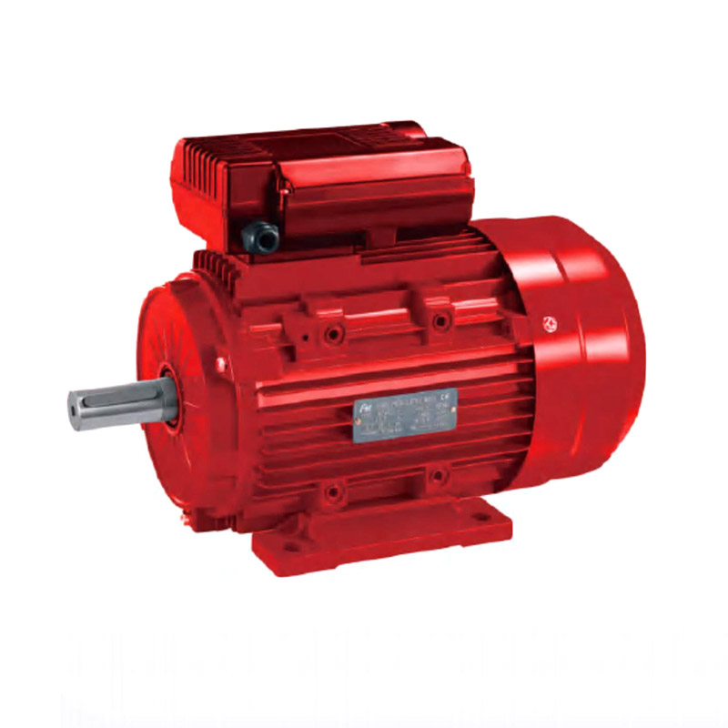 Motor Induksi Kapasitor Dua Nilai YL